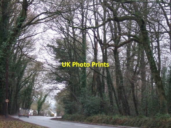 Photo 6"x4" A373 near Dulford Dulford c2011
