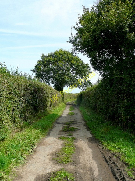 Photo 6"x4" Redhouse Lane 1 Hillersland c2009