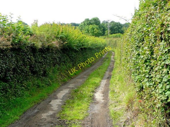 Photo 6"x4" Redhouse Lane 2 Hillersland c2009