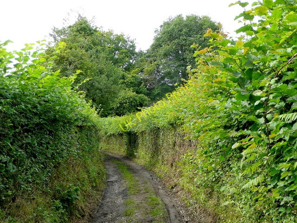 Photo 6"x4" Redhouse Lane 4 Hillersland c2009