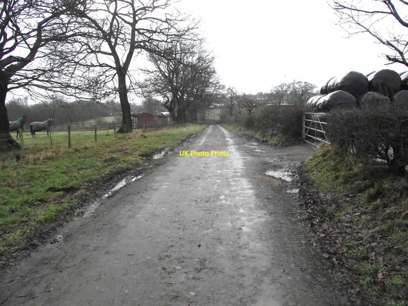 Photo 6"x4" Top of Baileys Bank Biddulph c2010