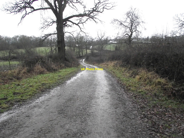 Photo 6"x4" Nearing Marsh Green Biddulph c2010