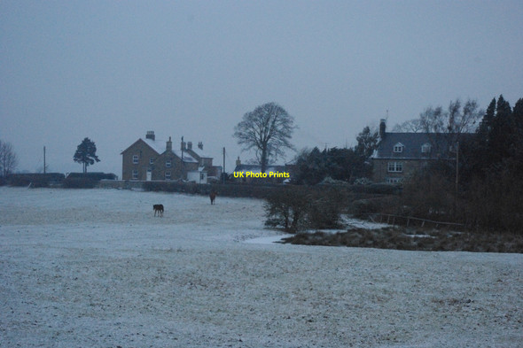 Photo 6"x4" Woodhill Farm Medburn c2011