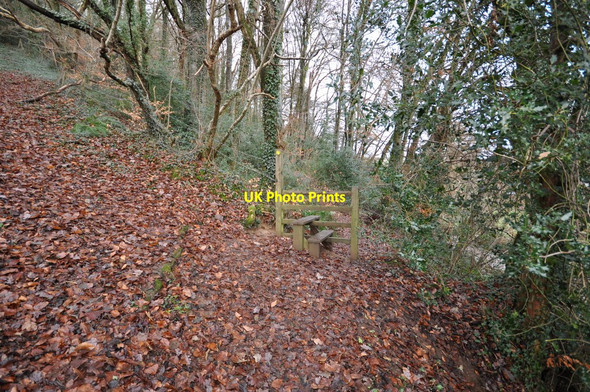 Photo 6"x4" One of many stiles in Tutshill Wood Barnstaple c2011