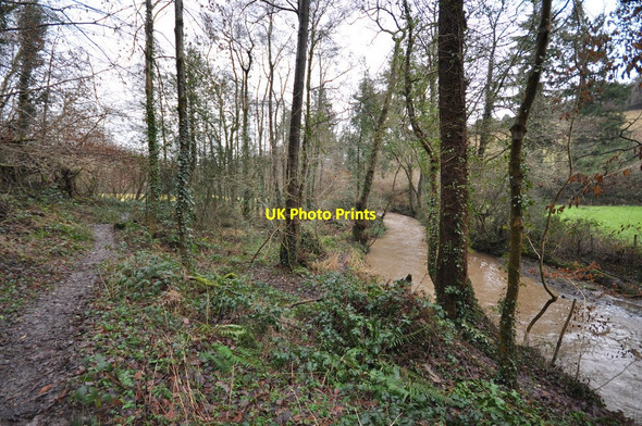 Photo 6"x4" Bradiford Water passing through Tutshill Wood Barnstaple c2011