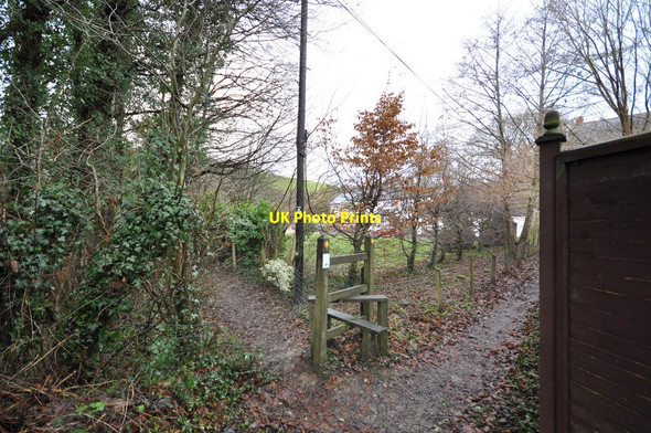 Photo 6"x4" The footpath which runs between Blakewell and Tutshill Wood Barnstaple c2011