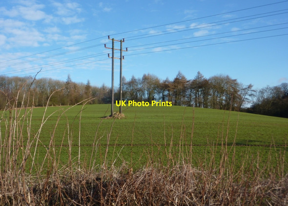 Photo 6"x4" Field by Langwith Wood Bolsover c2011