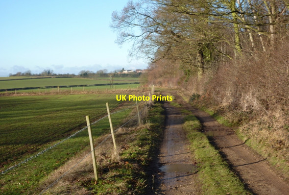 Photo 6"x4" Track by Langwith Wood Shirebrook c2011