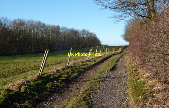 Photo 6"x4" Track by Langwith Wood Shirebrook c2011