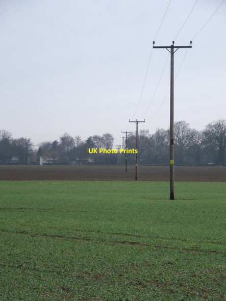 Photo 6"x4" Poles Across The Fields Pockthorpe\/TL9196 c2011