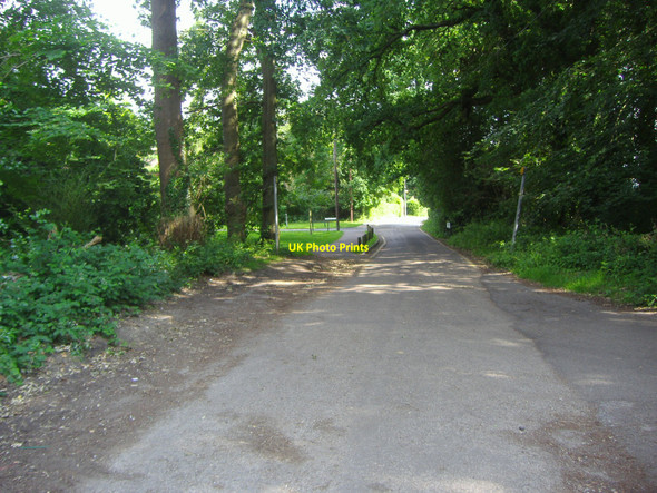Photo 6"x4" Sheath Lane Oxshott Little Heath\/TQ1360 c2008