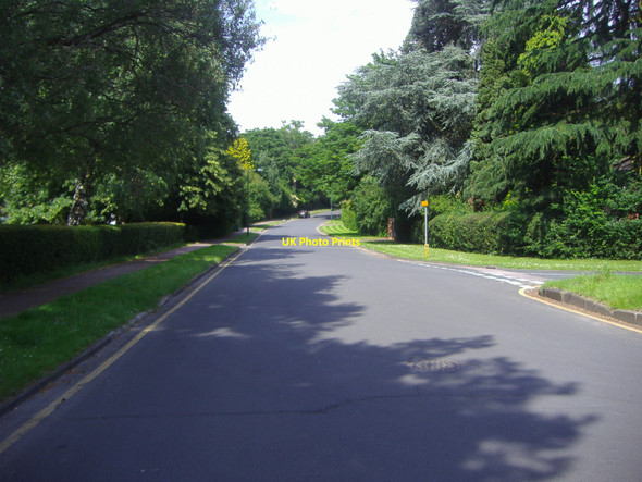 Photo 6"x4" Goldrings Road, Oxshott Oxshott c2008