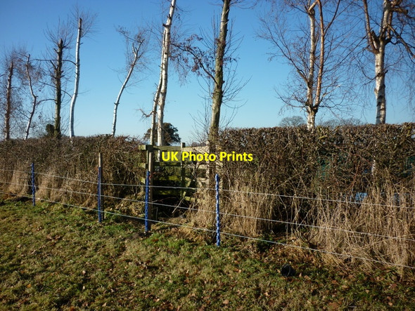 Photo 6"x4" A blockage to a public right of way Warthill\/SE6755 c2011