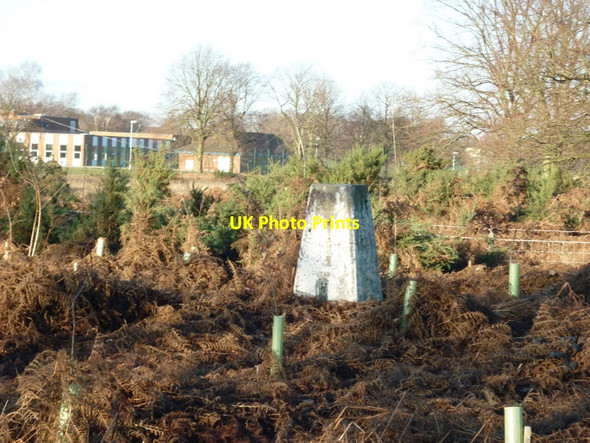 Photo 6"x4" The trig point on Towthorpe Moor Lane Towthorpe\/SE6358 c2011