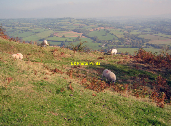 Photo 6"x4" Pentwyn Hill Fort Groes-lwyd\/SO3222 c2010
