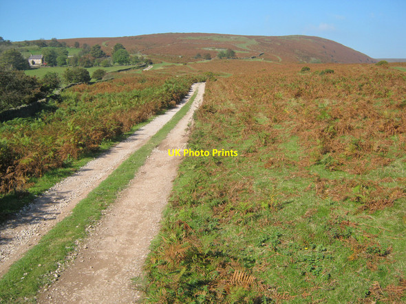 Photo 6"x4" Track to Three Wells Groes-lwyd\/SO3222 c2010