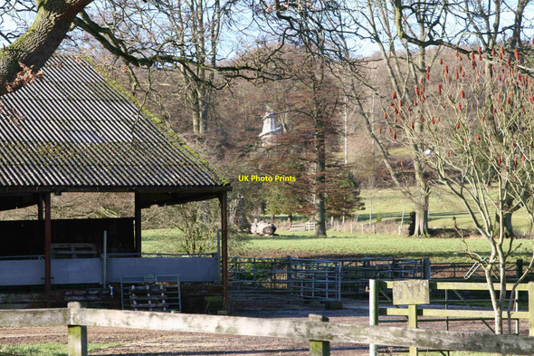 Photo 6"x4" East Tisted - Pelham Place East Tisted c2011