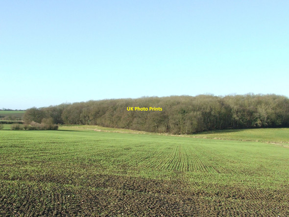 Photo 6"x4" Gipping Great Wood Gipping c2011