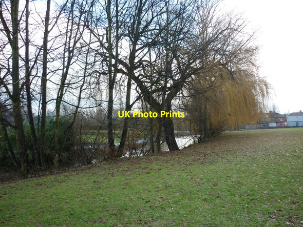 Photo 6"x4" Hull Road Park, York York\/SE5951 c2011