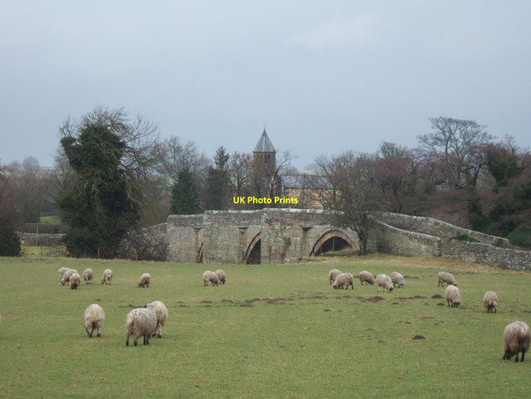 Photo 6"x4" Ulshaw - view of the bridge over the River Ure Ulshaw c2011