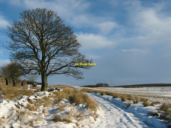 Photo 6"x4" Snowy Track to Lochgreen at Righead Farm Abronhill c2011