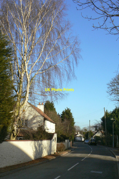 Photo 6"x4" Kinoulton, Main Street Kinoulton c2011
