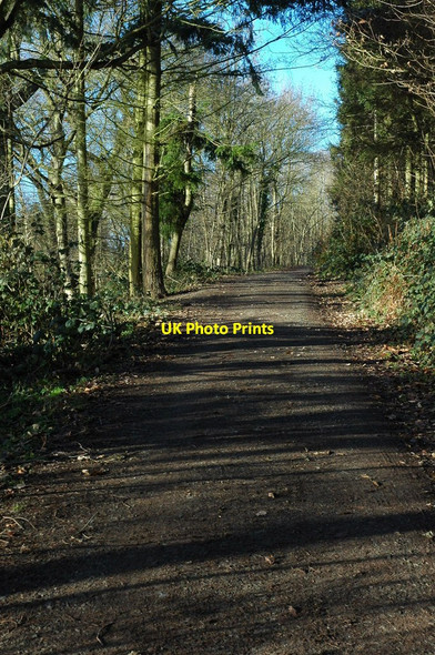 Photo 6"x4" Track on Credenhill Brinsop c2011