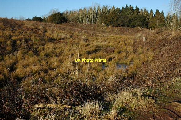 Photo 6"x4" Defensive earthworks, Credenhill Brinsop c2011 P1