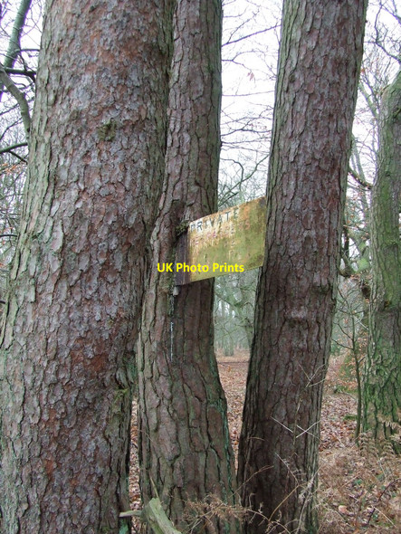 Photo 6"x4" Old Trespassers Warning Tottington\/TL8995 c2011