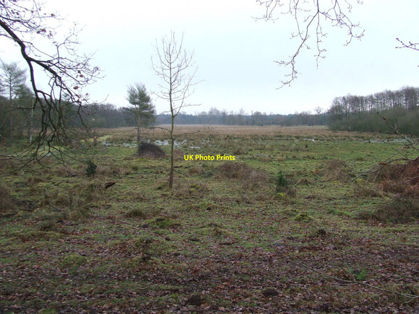 Photo 6"x4" Hockham Heath Stonebridge\/TL9290 c2011