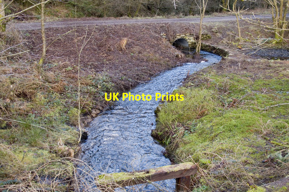 Photo 6"x4" Outfall from un-named tarn in Grizedale Forest Force Forge c2011