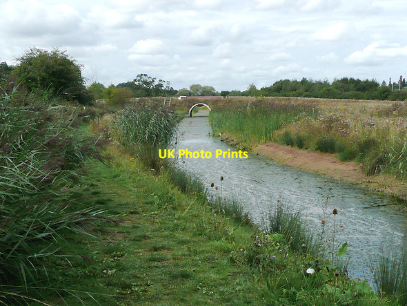 Photo 6"x4" Droitwich Junction Canal below Hanbury  Locks, Worcestershire Droitwich c2010