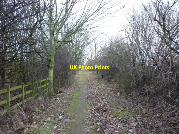 Photo 6"x4" The footpath alongside Manby Road to Immingham Immingham c2011