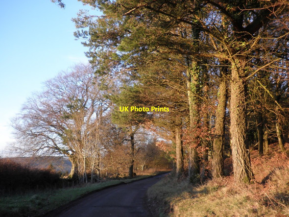 Photo 6"x4" Country lane, below Croydon Hill Cowbridge\/SS9542 c2011