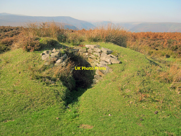 Photo 6"x4" Grouse butt on Hatterrall Hill Cwmyoy c2010
