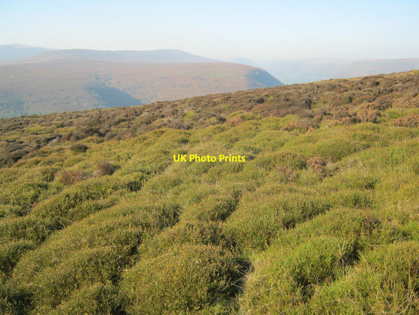 Photo 6"x4" Moorland on Hatterrall Hill Cwmyoy c2010