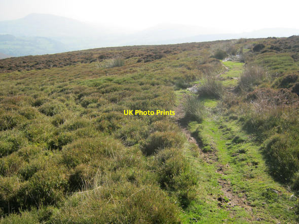 Photo 6"x4" Path on Hatterrall Hill Cwmyoy c2010