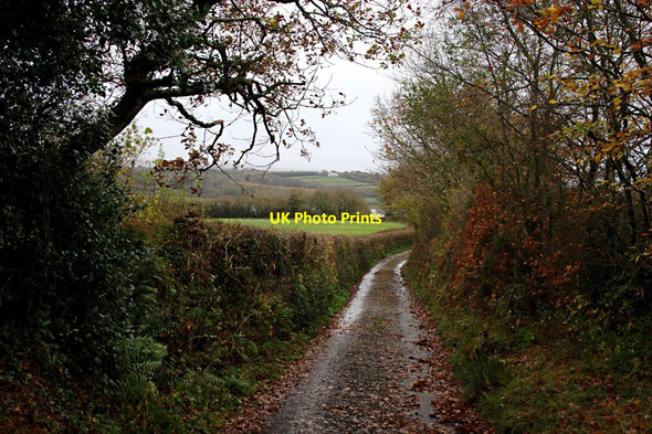Photo 6"x4" A Road to Nowhere Grinacombe Moor c2010