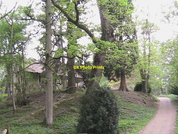 Photo 6"x4" Okewood church, from the valley of the brook Mayes Green c2007