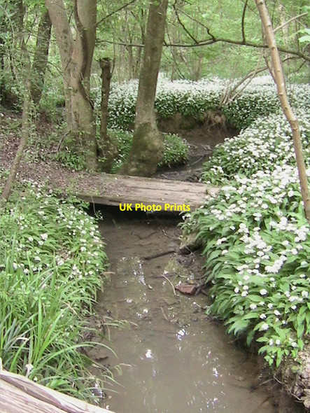 Photo 6"x4" Footbridges, Okewood Mayes Green c2007