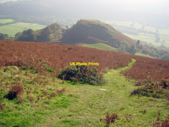 Photo 6"x4" Landslip at Cwmyoy Cwmyoy c2010