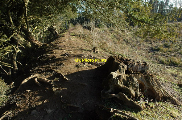 Photo 6"x4" Earthworks on Credenhill Brinsop c2011