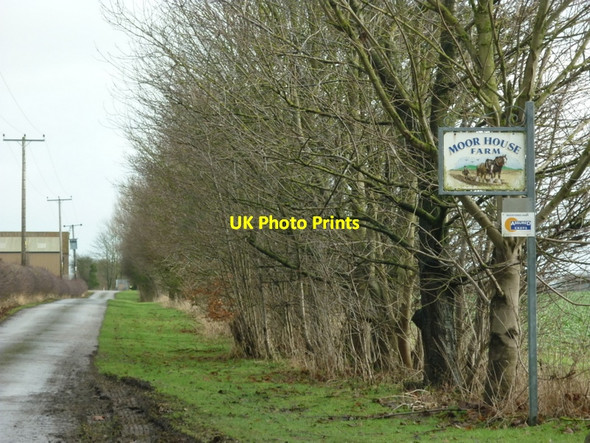Photo 6"x4" The road to Moor House Farm Brandesburton c2011