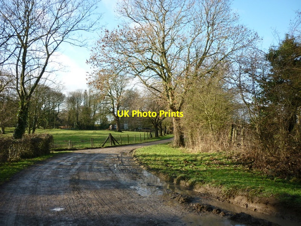 Photo 6"x4" The road to Arram Hall near Bewholme Bewholme c2011