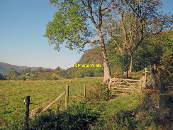 Photo 6"x4" The Darren Landslip Cwmyoy c2010