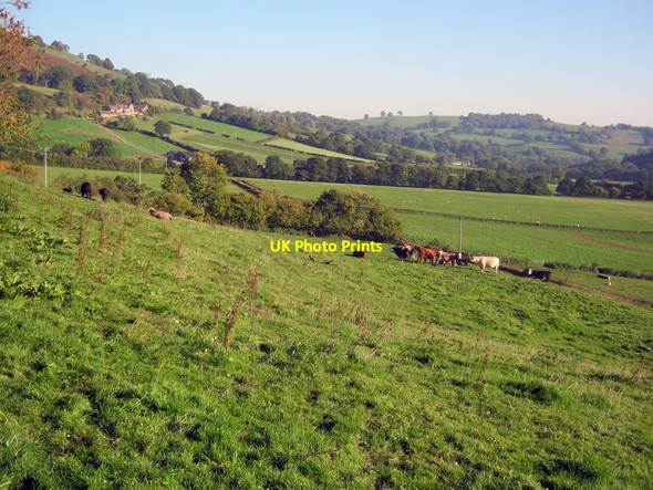 Photo 6"x4" Farmland east of Cwmyoy Cwmyoy c2010