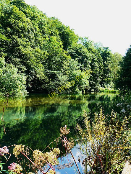 Photo 6"x4" Lake at Ruskin Mill College, Nailsworth Nailsworth c2009