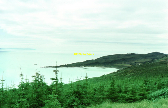 Photo 6"x4" New forestry near Lagg Lagg\/NR5978 c1975