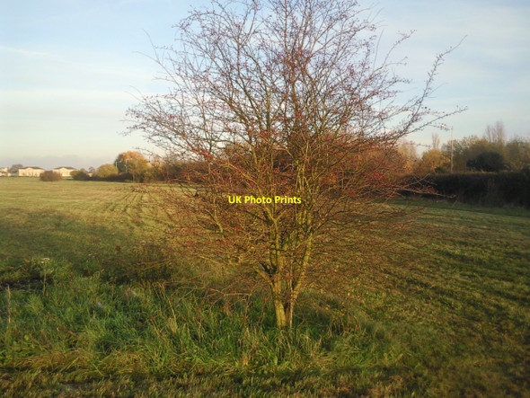 Photo 6"x4" London Diocesan Lands at Lower Feltham Feltham\/TQ1073 c2010