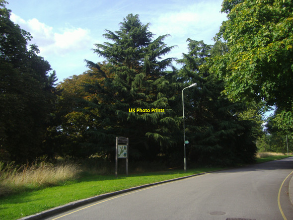 Photo 6"x4" Hadley Green Barnet c2008